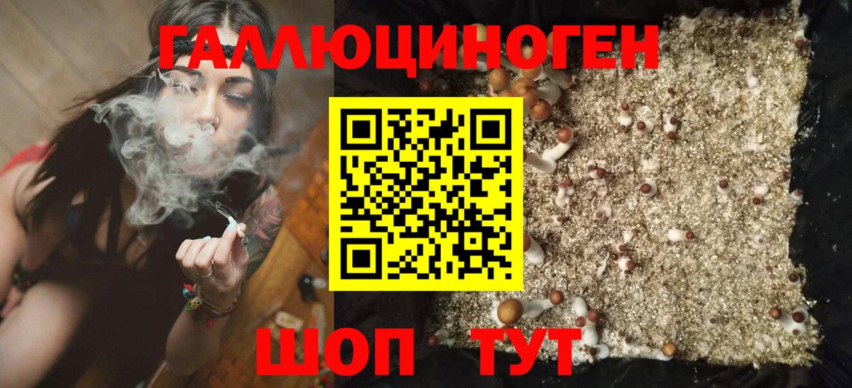 Реж  Псилоцибиновые грибы MAGIC MUSHROOMS  Вход с VPN 